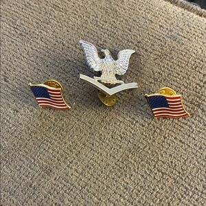 Silver Eagle and American Flag Pins